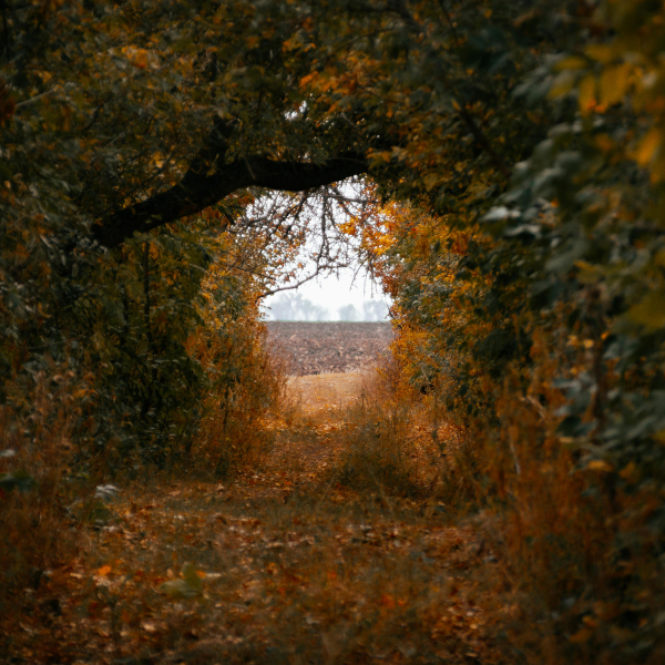 the threshold